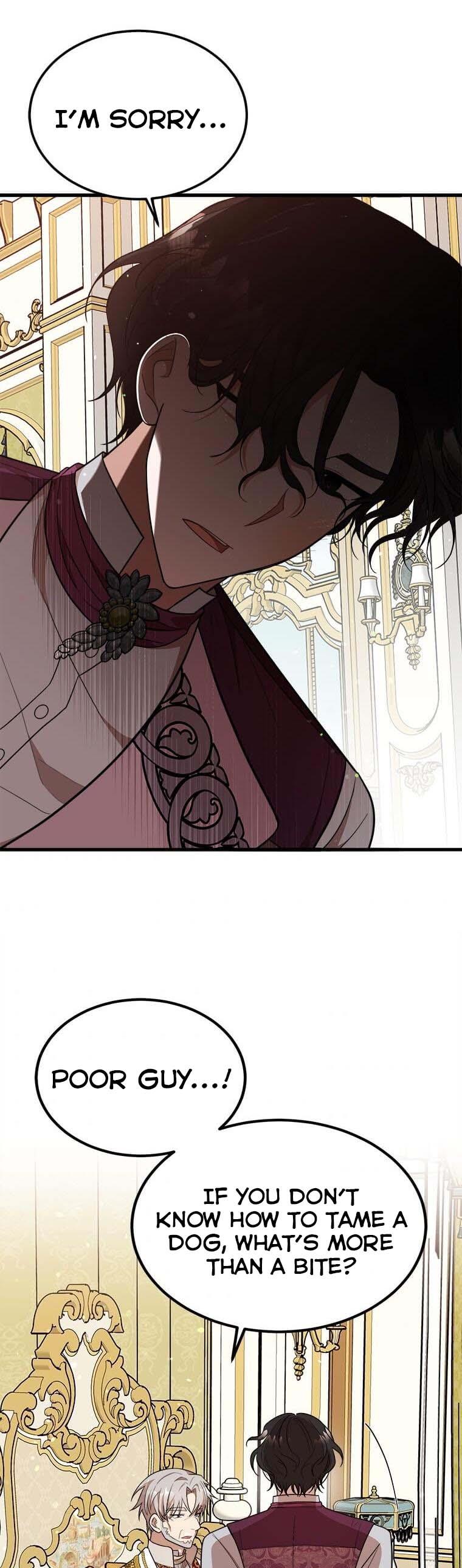 The Princess’ Dangerous Brothers chapter 33 page 17