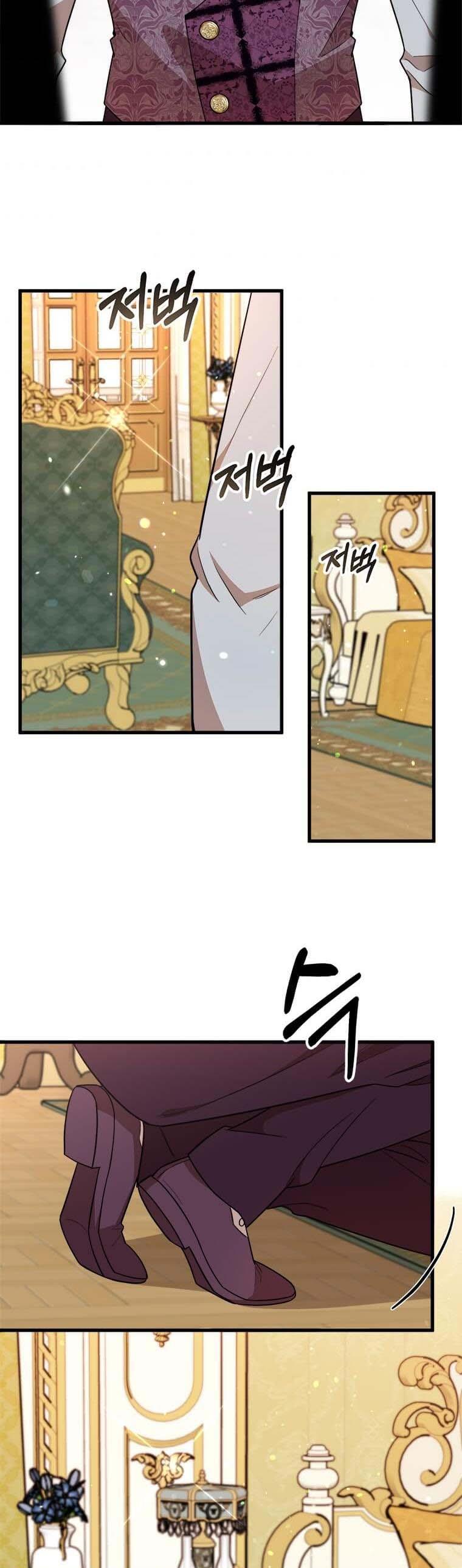 The Princess’ Dangerous Brothers chapter 33 page 5