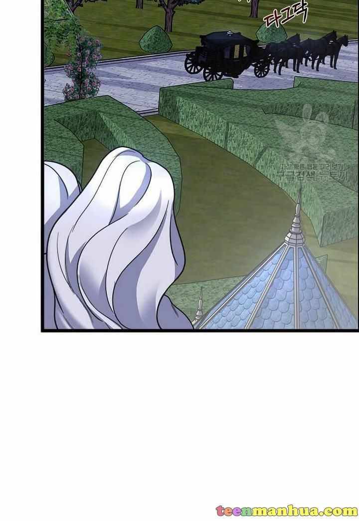 The Princess’ Dangerous Brothers chapter 4 page 5