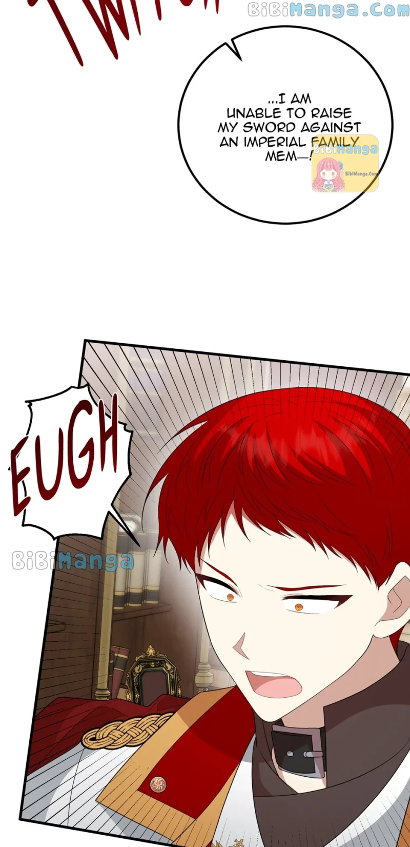 The Princess’ Dangerous Brothers chapter 71 page 40