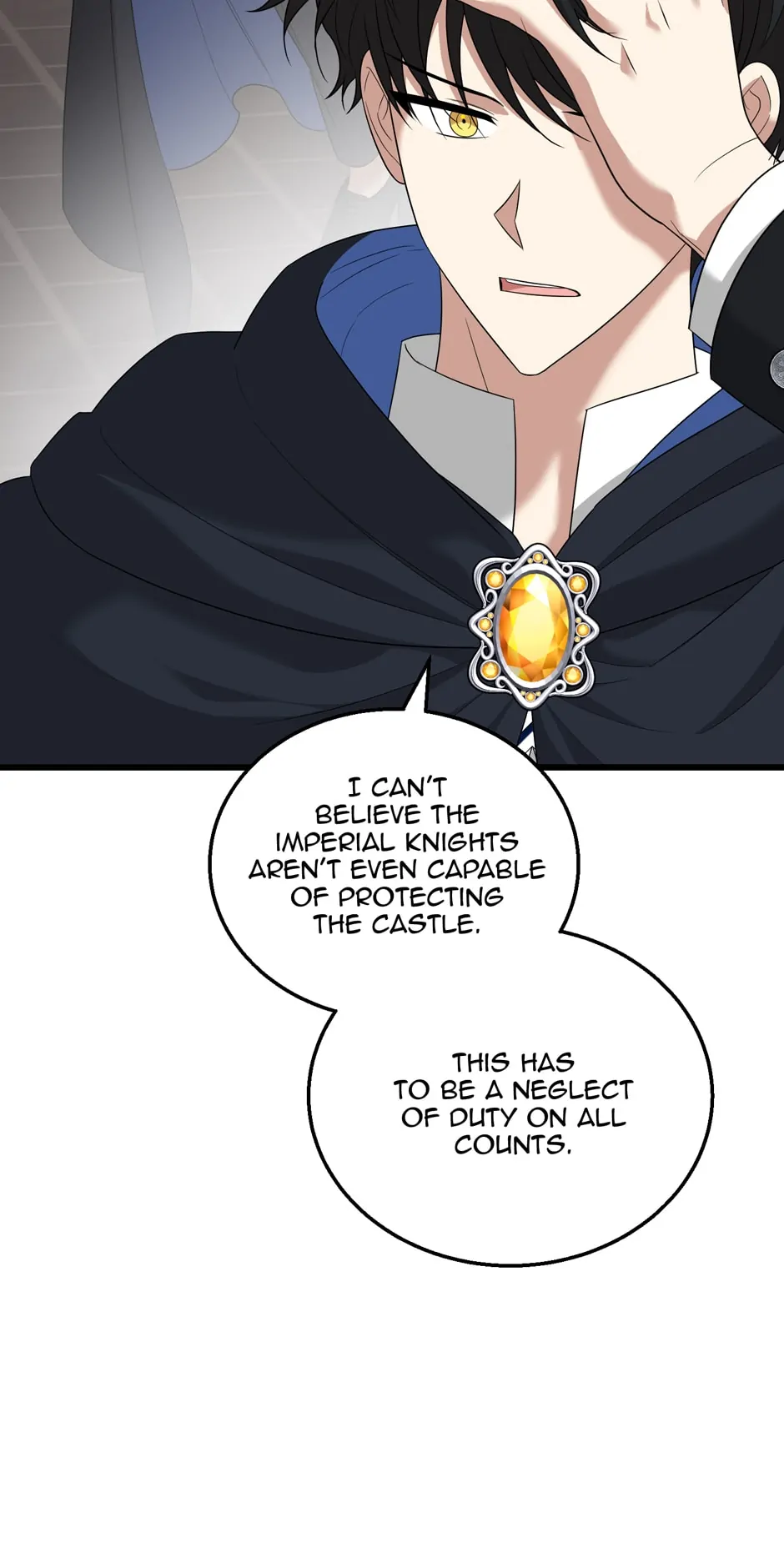 The Princess’ Dangerous Brothers chapter 86 page 12