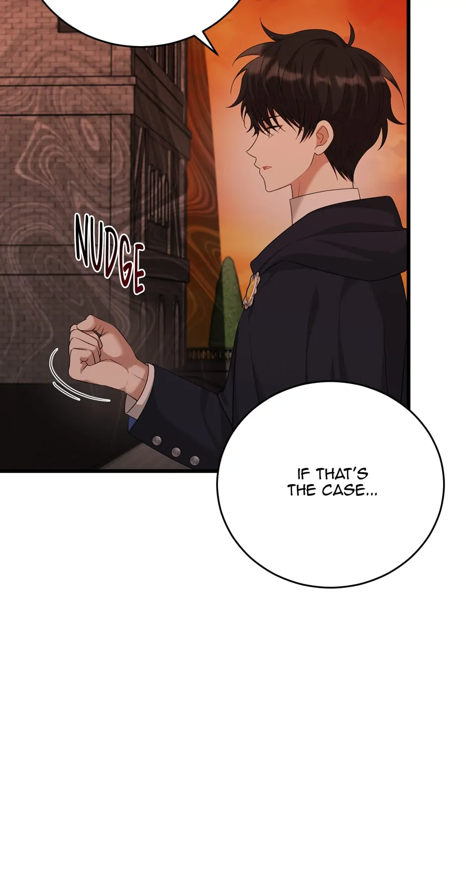 The Princess’ Dangerous Brothers chapter 86 page 29
