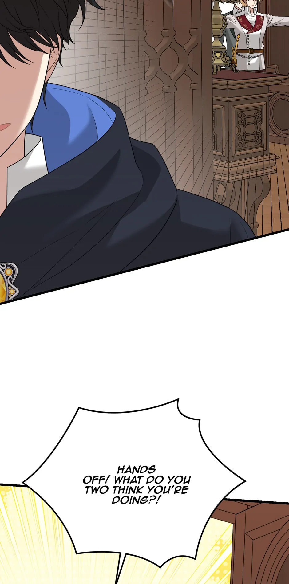 The Princess’ Dangerous Brothers chapter 89 page 11