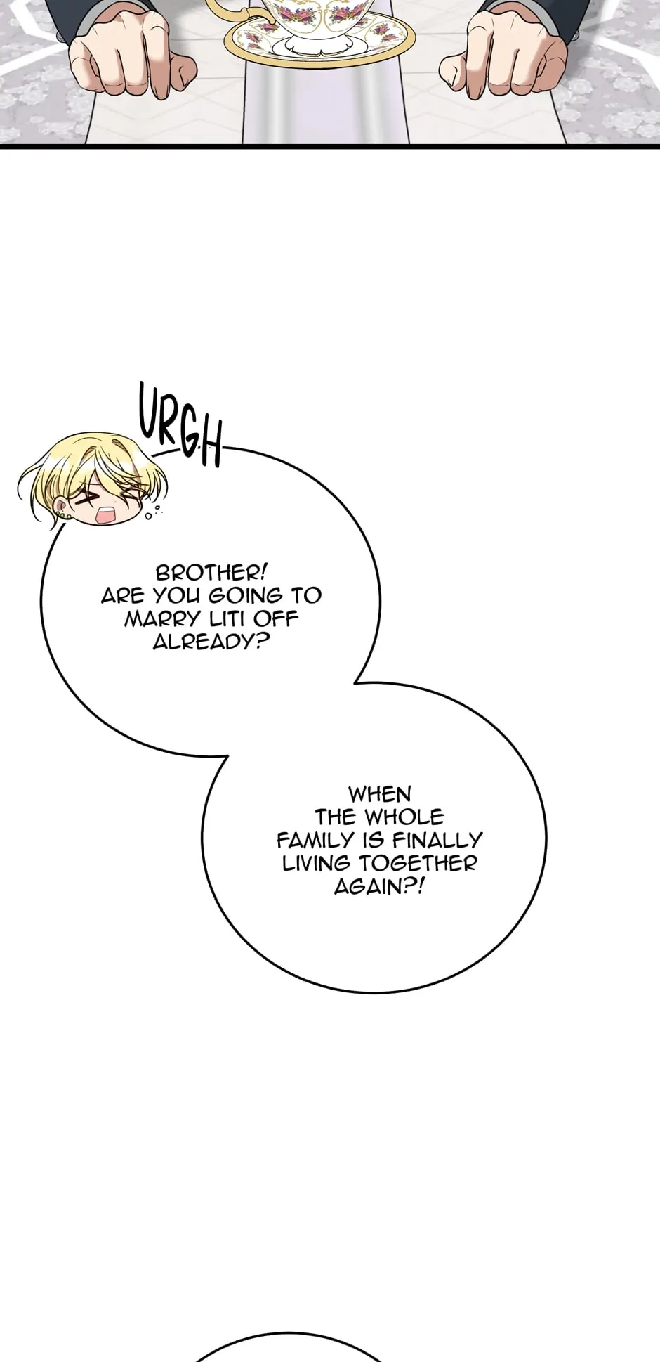 The Princess’ Dangerous Brothers chapter 92 page 75
