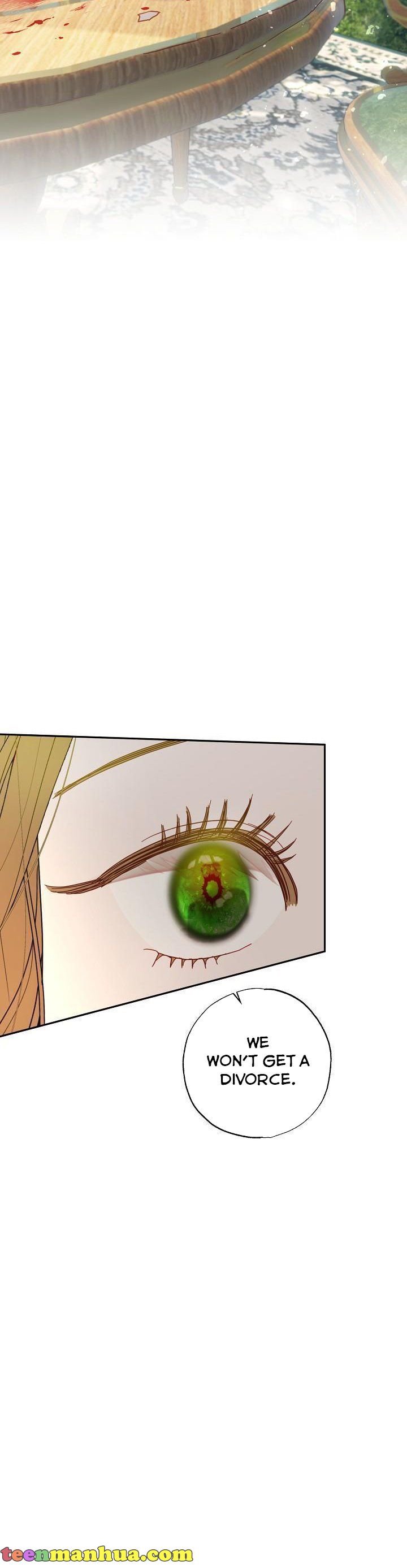 I Failed to Divorce My Husband chapter 40 page 6