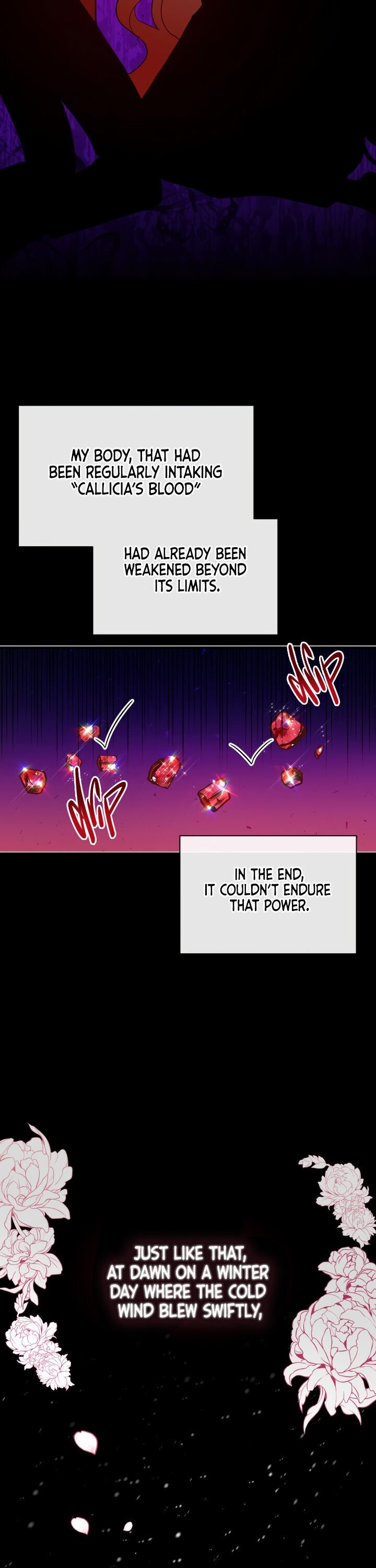 Solitary Lady chapter 25 page 14