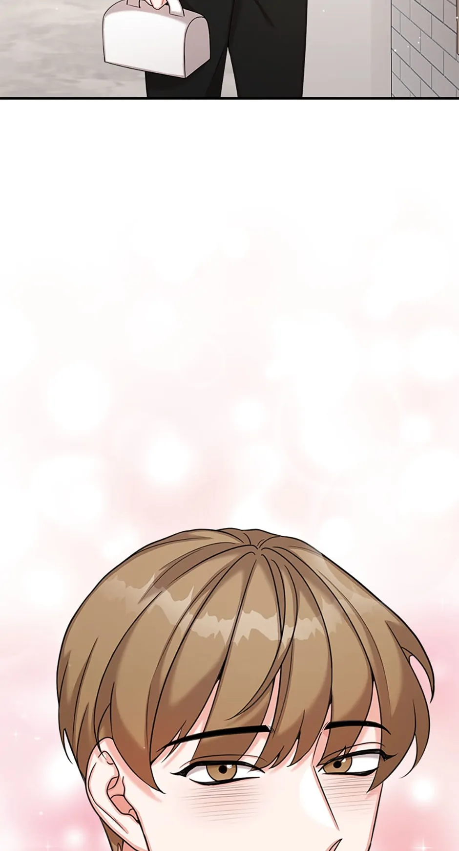The Most Perfect Marriage chapter 17 page 66
