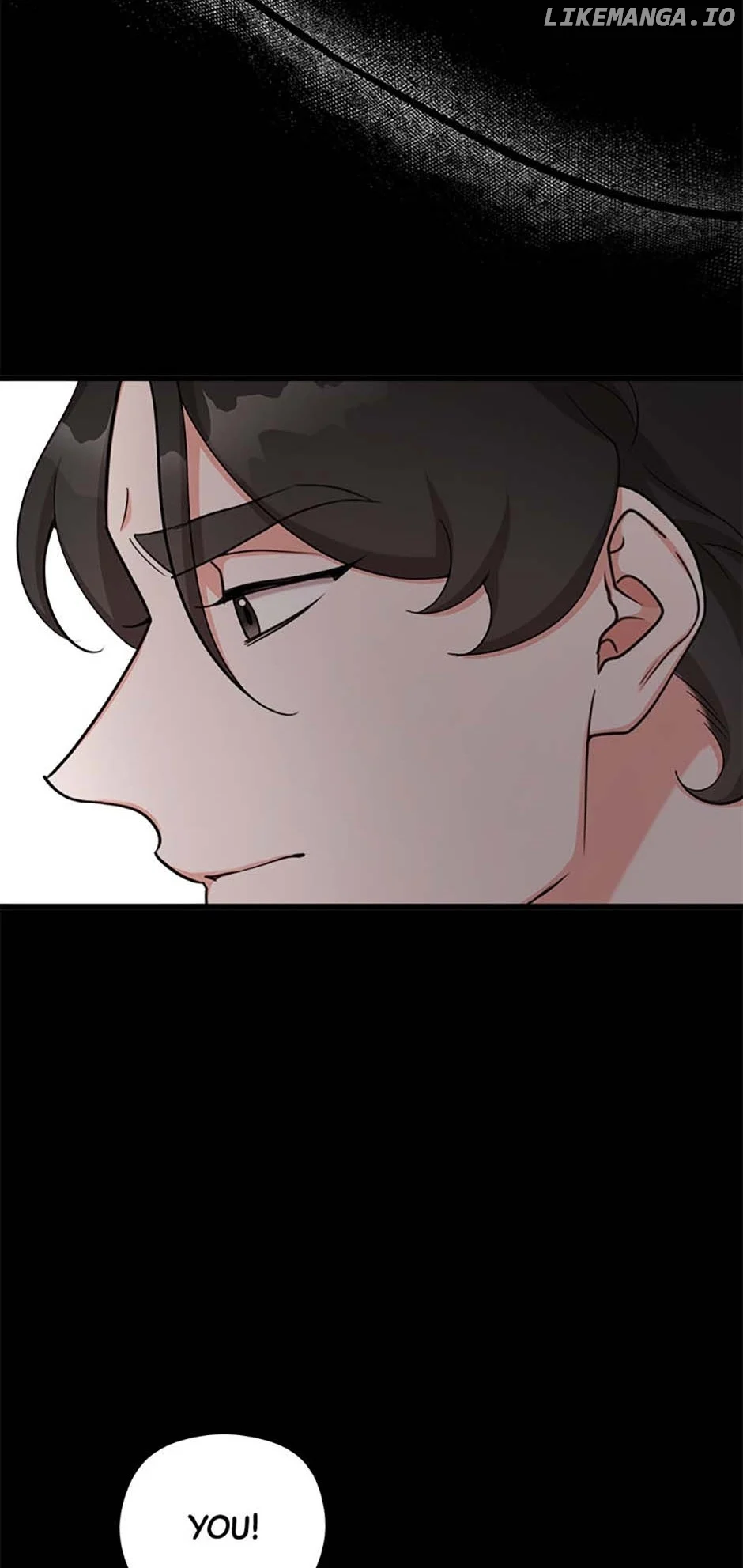 The Most Perfect Marriage chapter 51 page 17