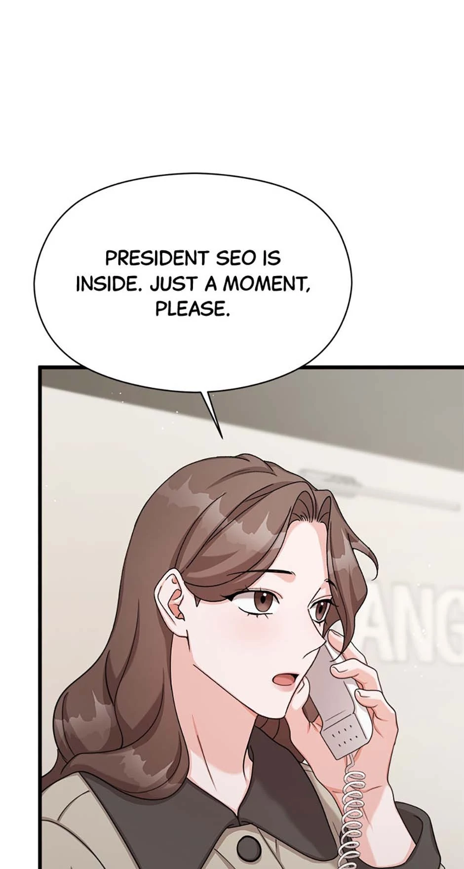The Most Perfect Marriage chapter 66 page 53