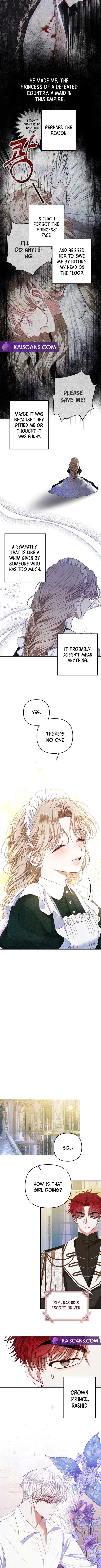 Being a Maid is Better than Being a Princess chapter 2 page 7