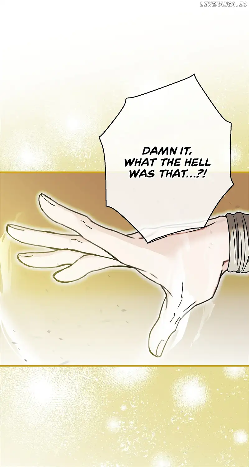 The S-Class Dungeon Owner chapter 19 page 33