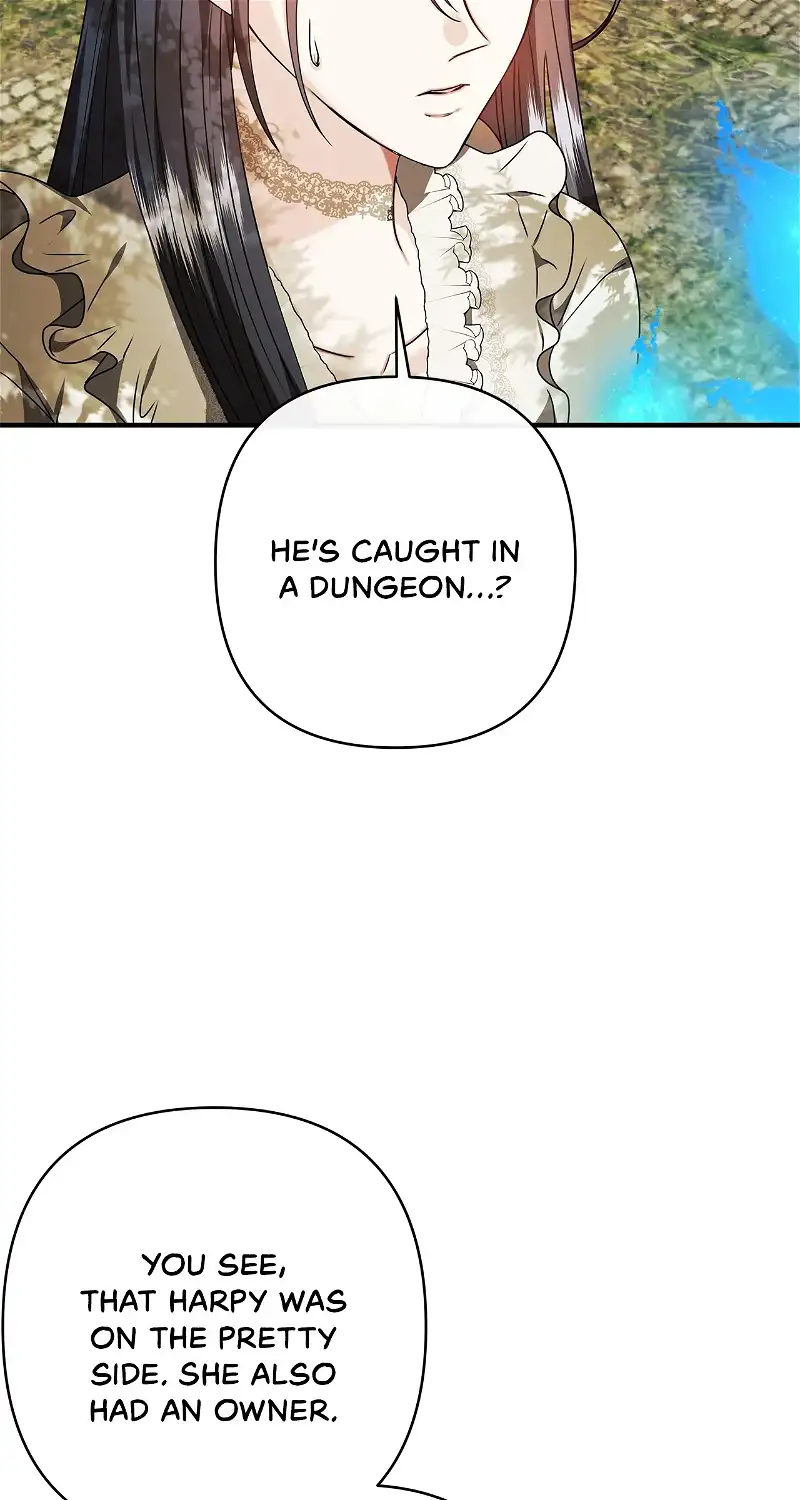 The S-Class Dungeon Owner chapter 27 page 68