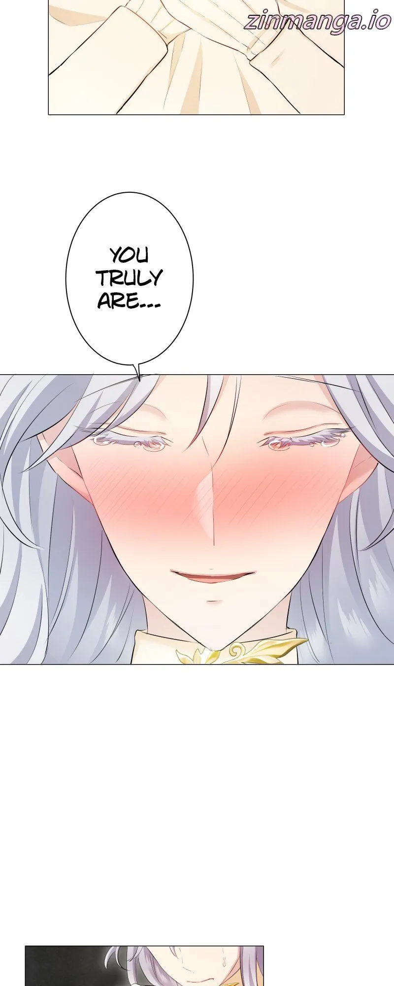 Nulliitas: The Half-Blood Royalty chapter 142 page 17