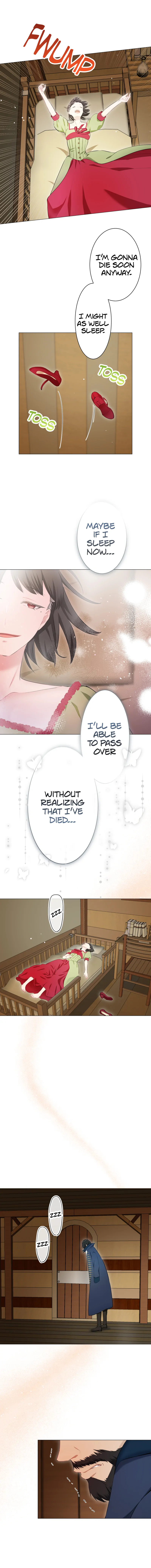 Nulliitas: The Half-Blood Royalty chapter 166 page 7