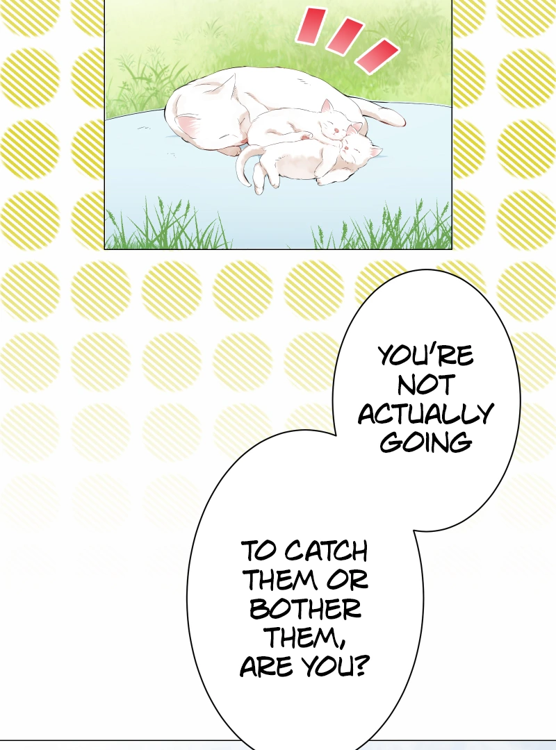 Nulliitas: The Half-Blood Royalty chapter 182 page 38
