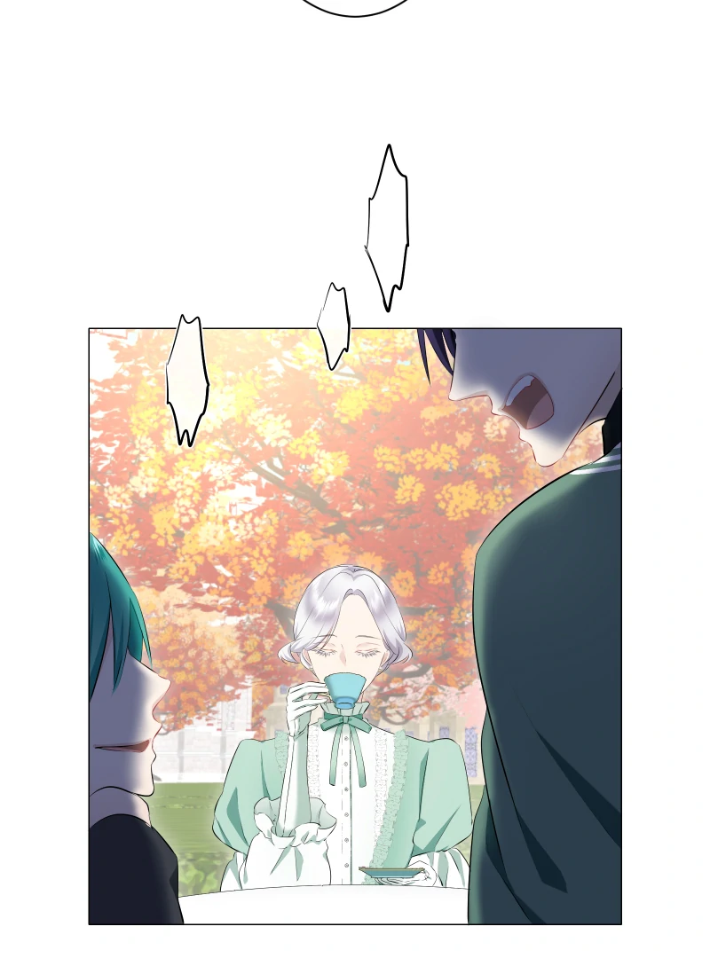 Nulliitas: The Half-Blood Royalty chapter 195 page 12