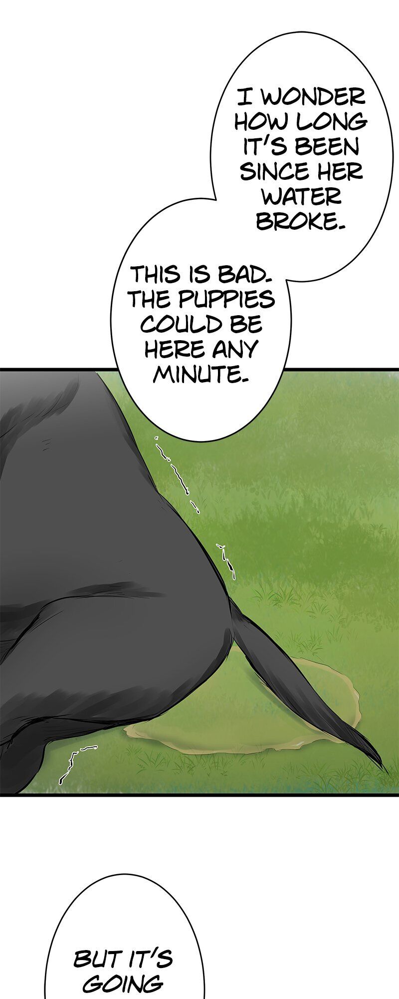 Nulliitas: The Half-Blood Royalty chapter 28 page 16