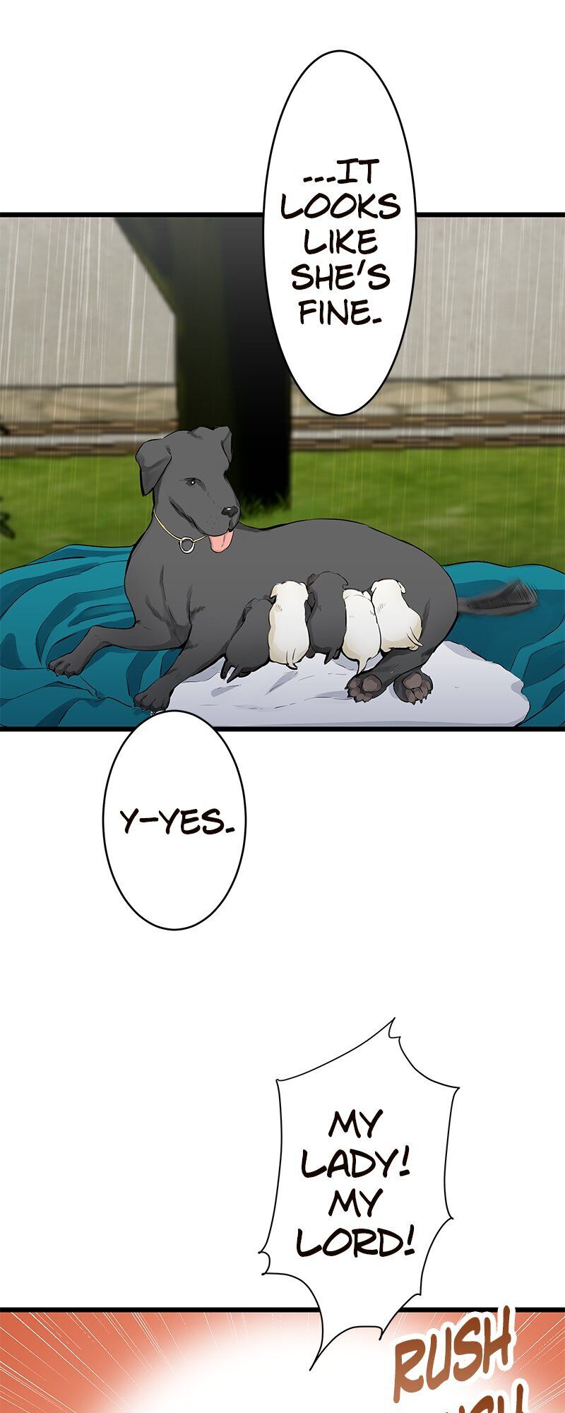 Nulliitas: The Half-Blood Royalty chapter 29 page 6