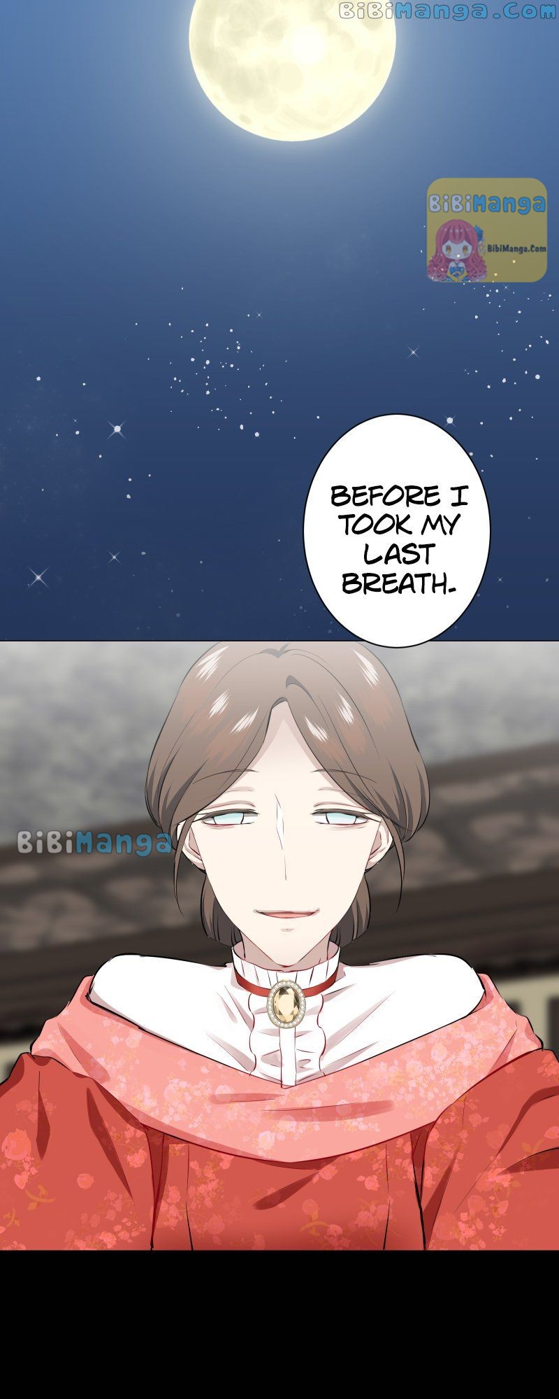 Nulliitas: The Half-Blood Royalty chapter 94 page 14