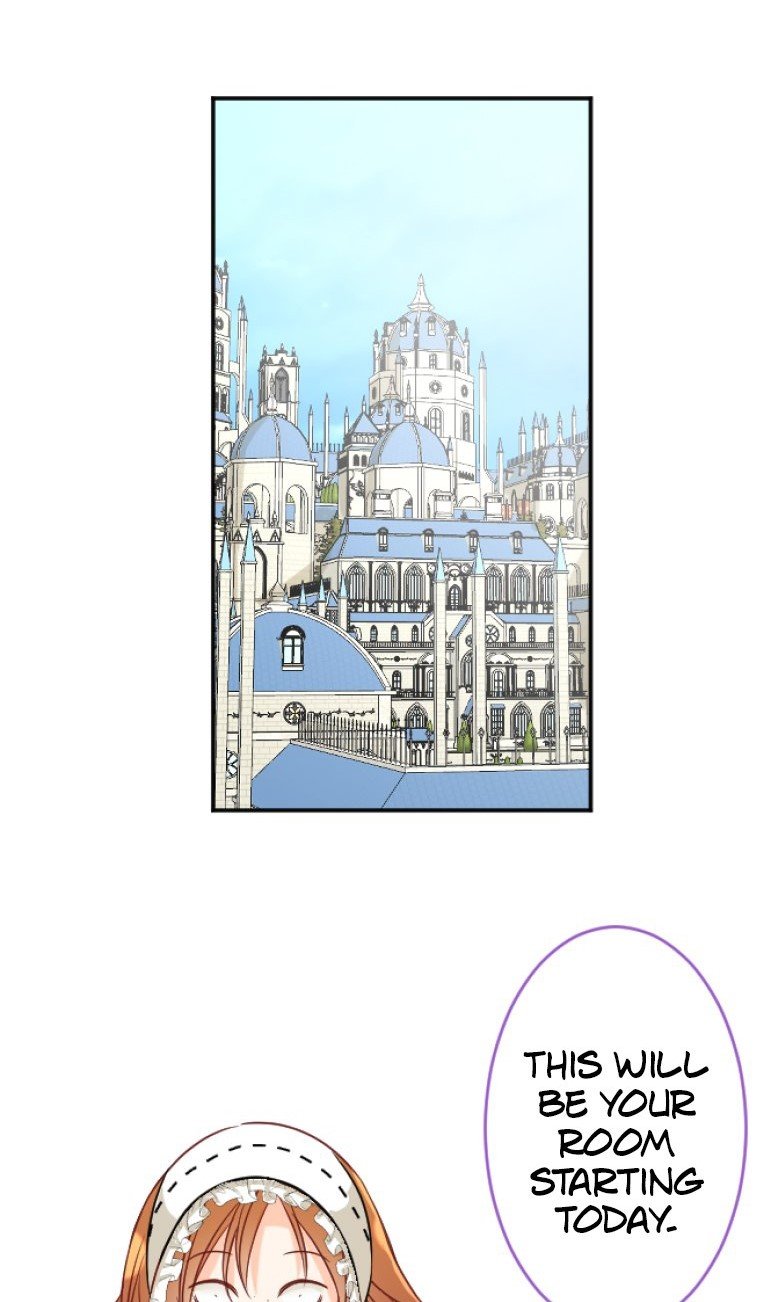 I was Reborn as a Housekeeper in a Parallel World! chapter 102 page 1