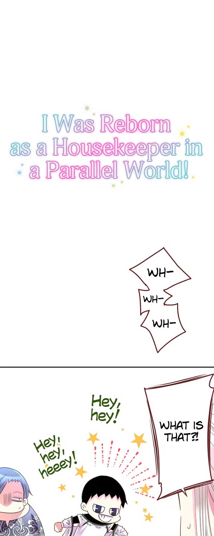 I was Reborn as a Housekeeper in a Parallel World! chapter 200 page 82
