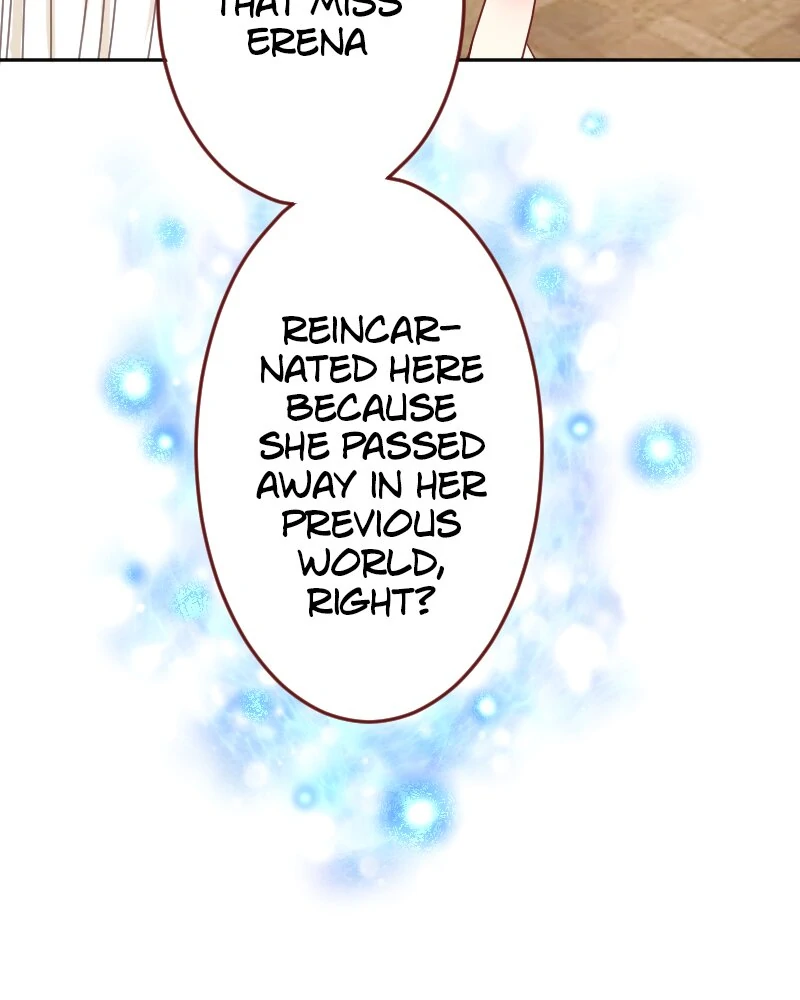 I was Reborn as a Housekeeper in a Parallel World! chapter 209 page 28