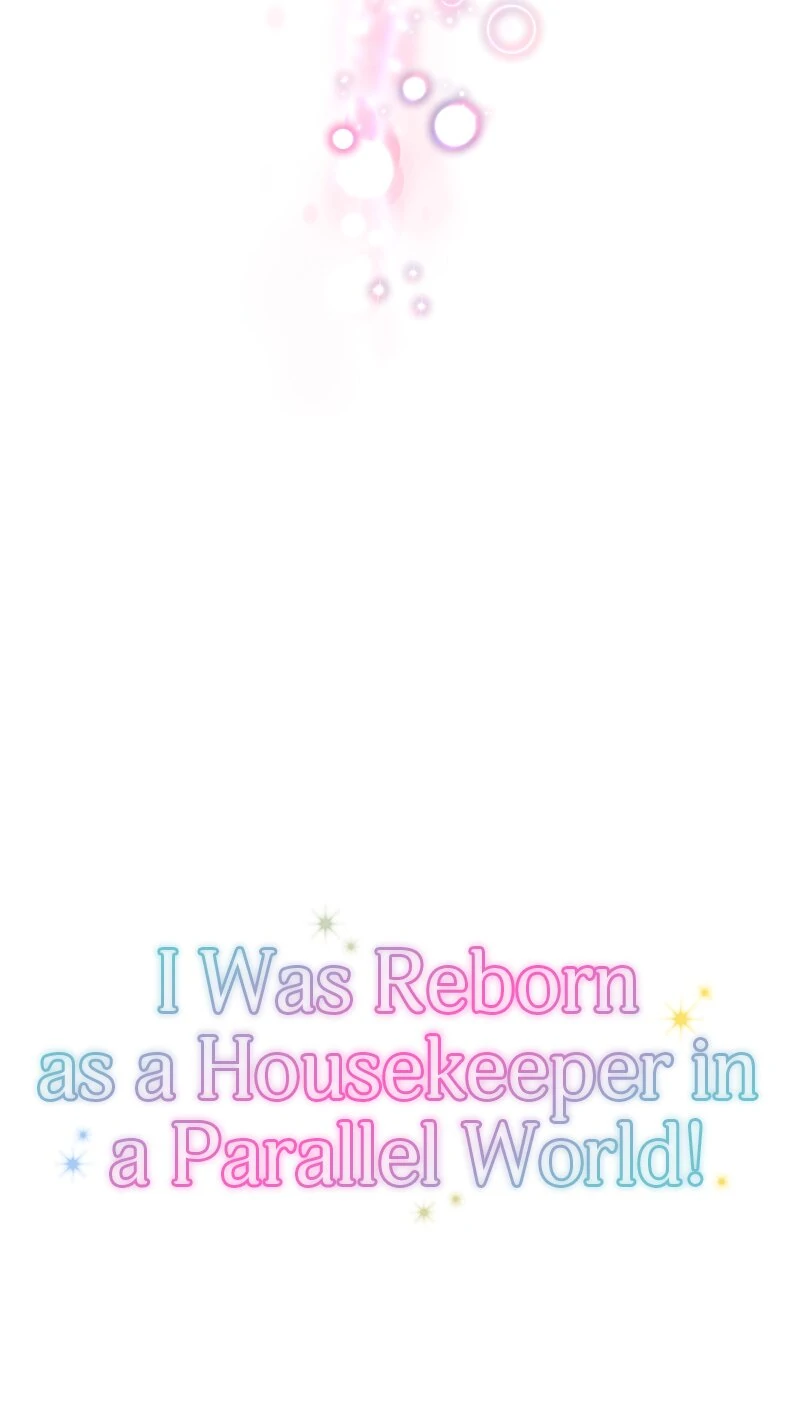 I was Reborn as a Housekeeper in a Parallel World! chapter 235 page 9