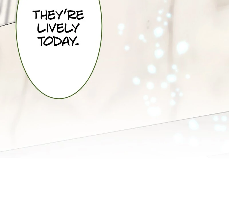 I was Reborn as a Housekeeper in a Parallel World! chapter 236 page 60