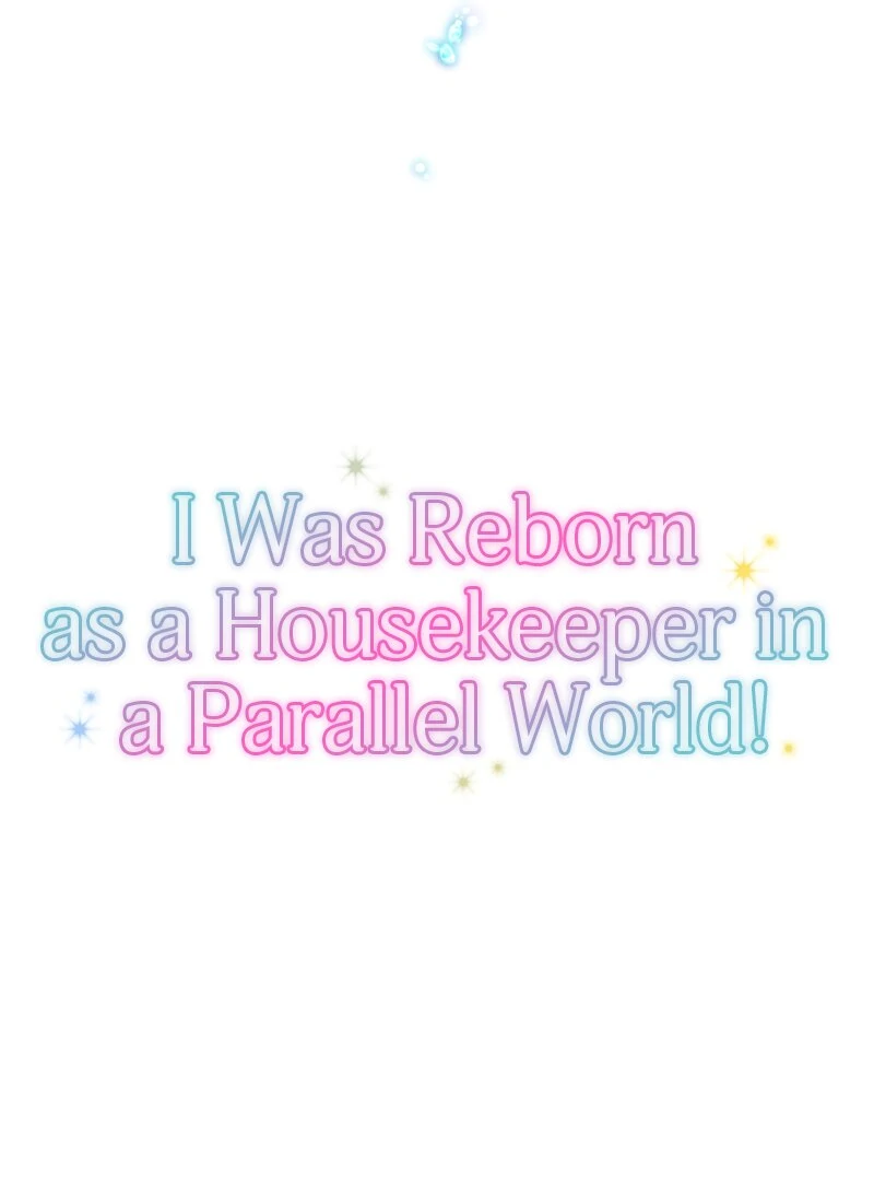 I was Reborn as a Housekeeper in a Parallel World! chapter 236 page 9