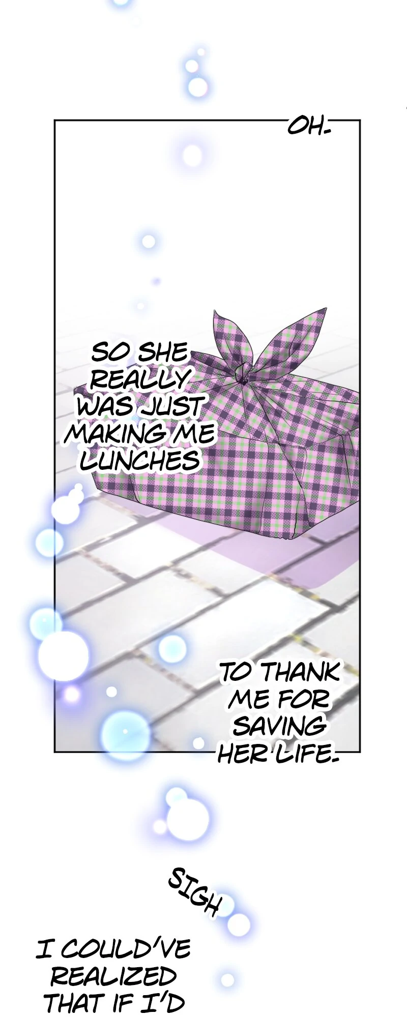I was Reborn as a Housekeeper in a Parallel World! chapter 243 page 35