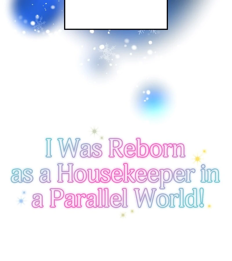 I was Reborn as a Housekeeper in a Parallel World! chapter 245 page 2