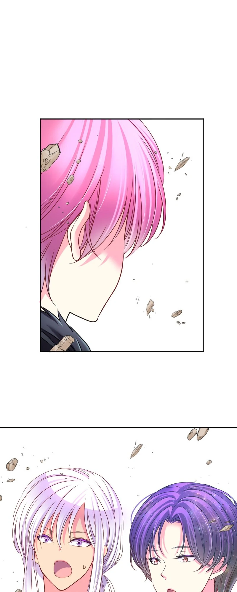 I was Reborn as a Housekeeper in a Parallel World! chapter 246 page 45