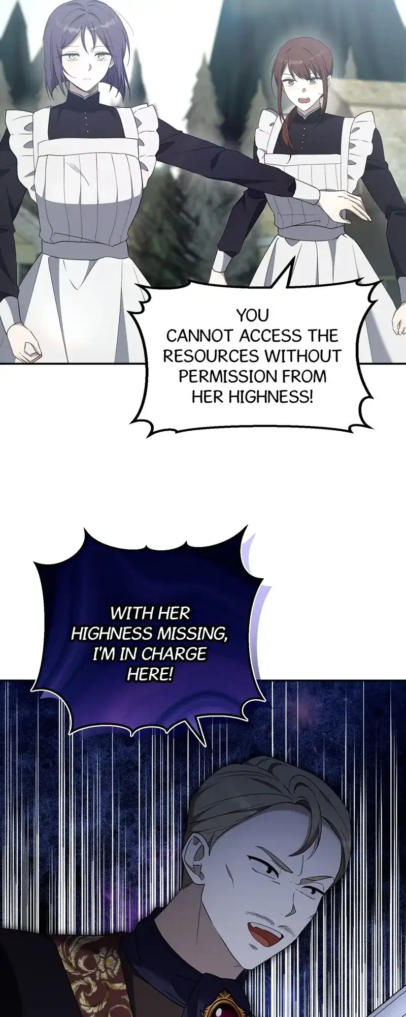 Carnephelia’s Curse is Never Ending chapter 62 page 47