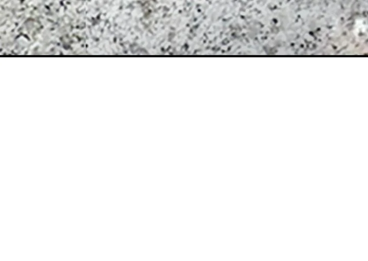 The Queen’s Life was At Stake chapter 62 page 42