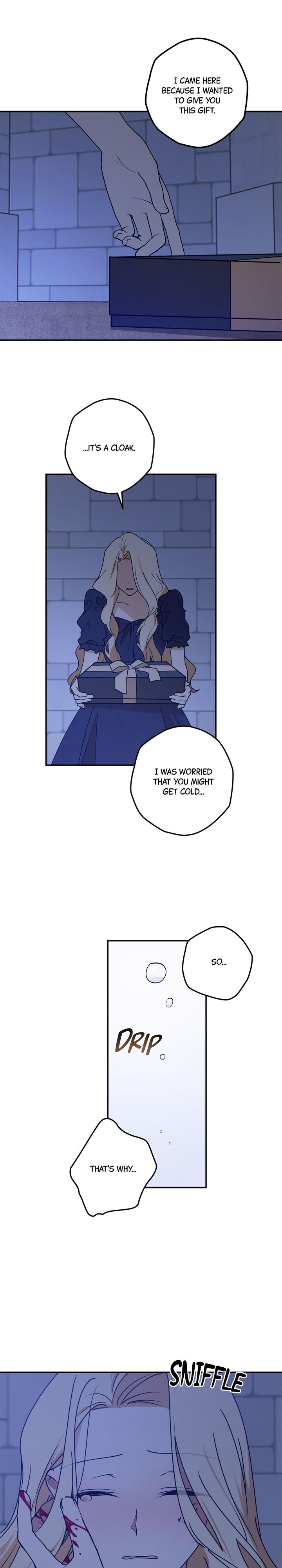 The Tyrant’s Comfort Doll chapter 46.5 page 12