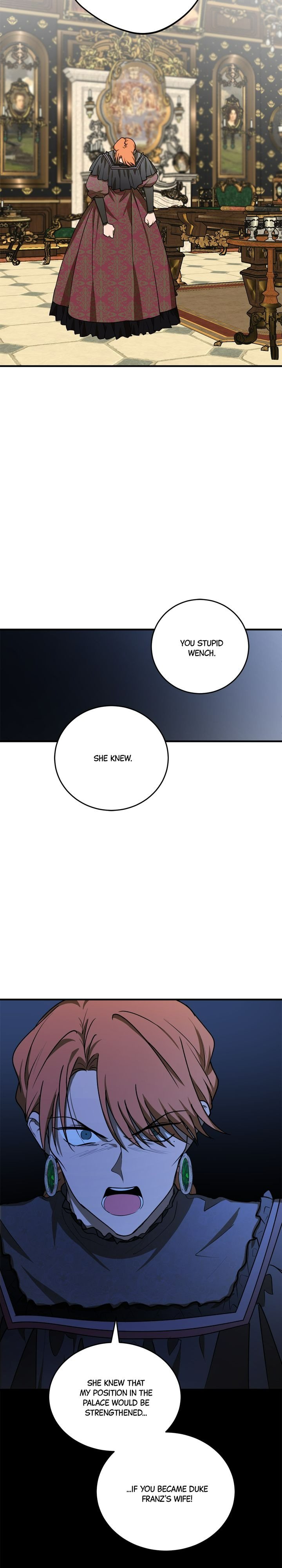 The Tyrant’s Comfort Doll chapter 48.5 page 7