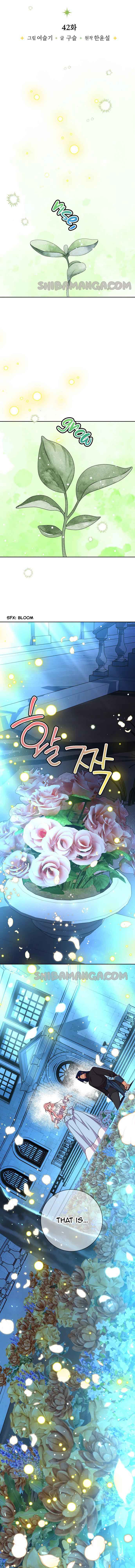 My Husband Changes Every Night chapter 42 page 5