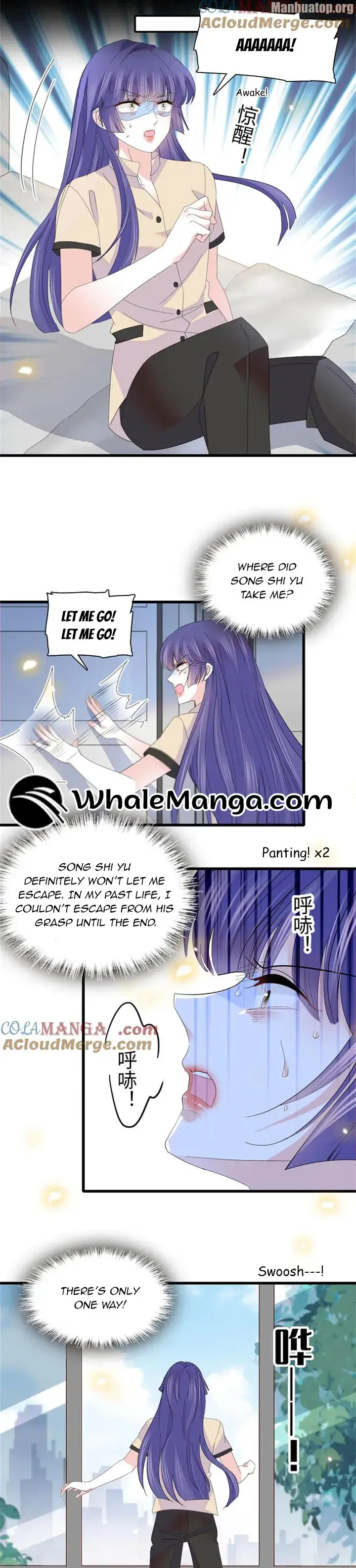 The Almighty Daughter Runs The World chapter 116 page 17