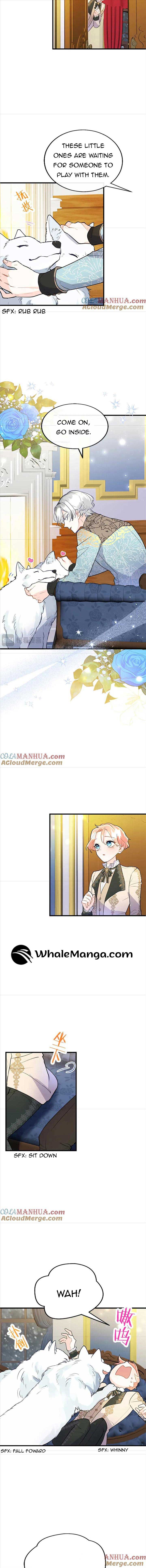 The Reason Why The Twin Lady Crossdresses chapter 71 page 3