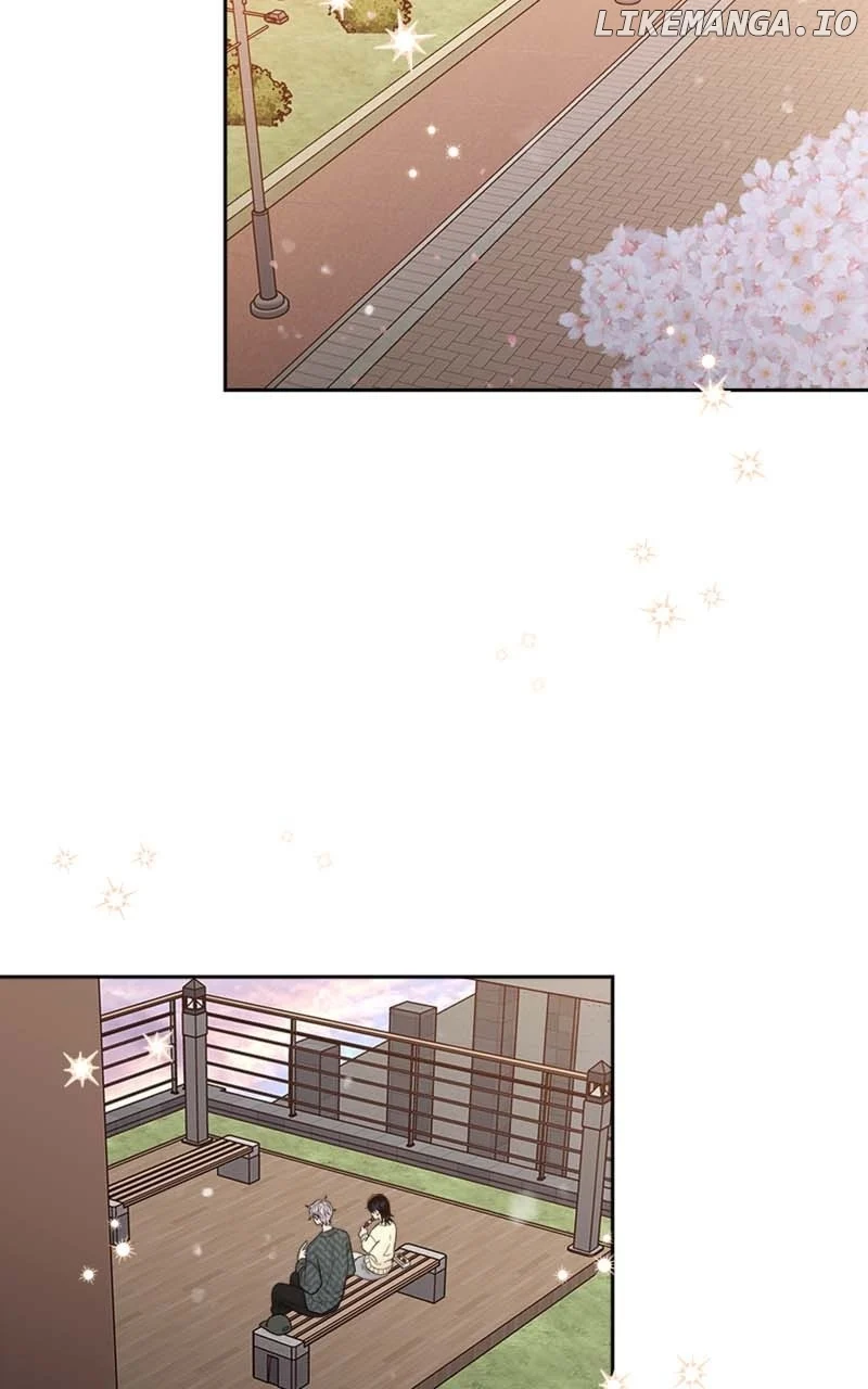 Wedding Strategy chapter 33 page 43