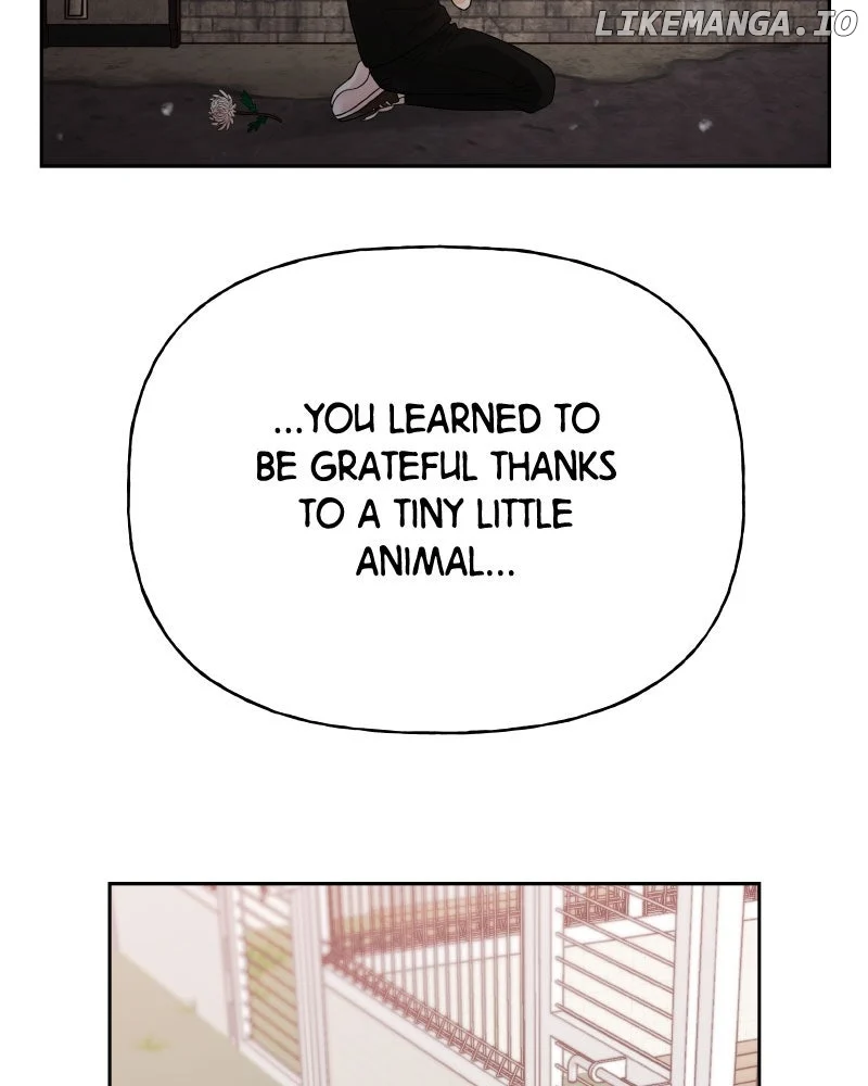 Wedding Strategy chapter 78 page 52