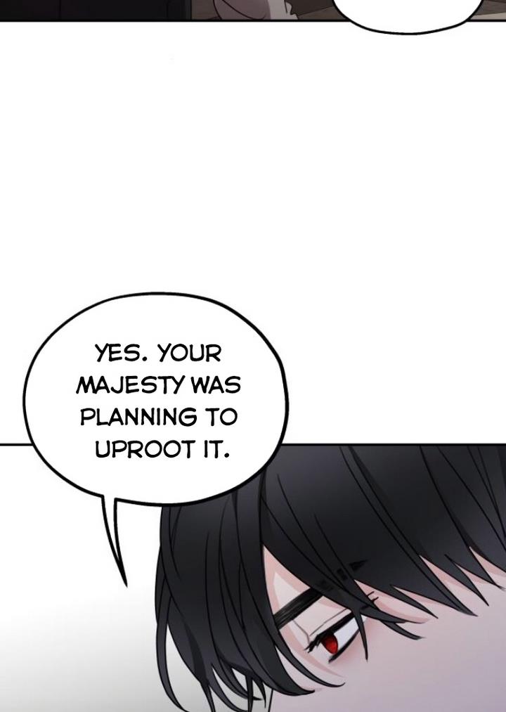 My In-laws are Obsessed With Me chapter 13 page 15