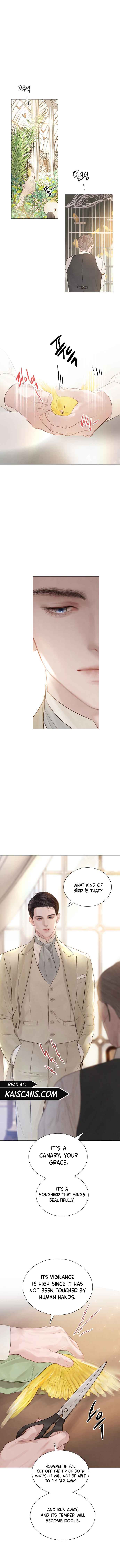 Cry, Even Better If You Beg chapter 11 page 8