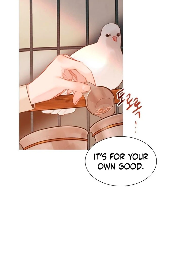 Cry, Even Better If You Beg chapter 65 page 40