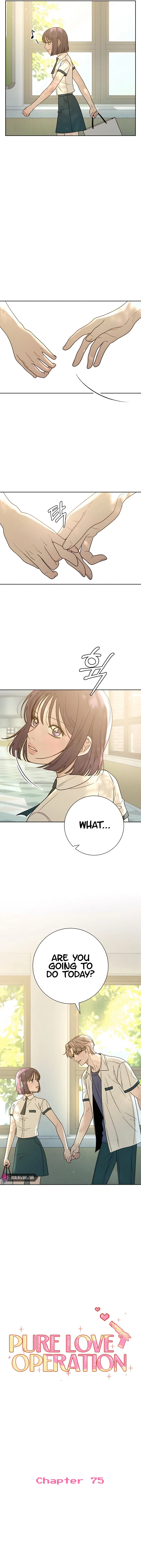 Pure Love Operation chapter 75 page 4