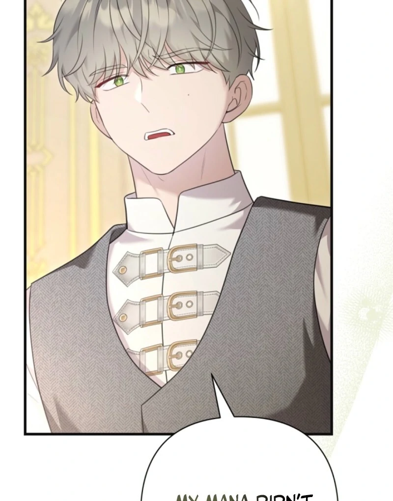 The Empress Wants To Avoid the Emperor chapter 84 page 67