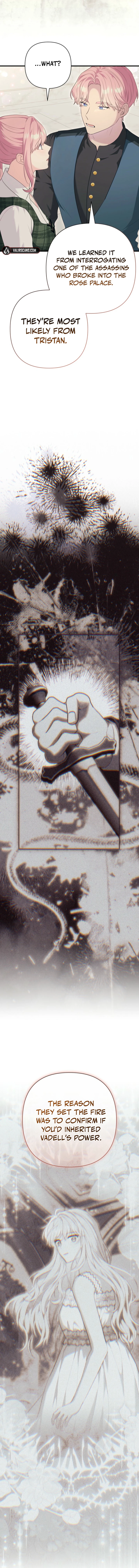 The Empress Wants To Avoid the Emperor chapter 85 page 4