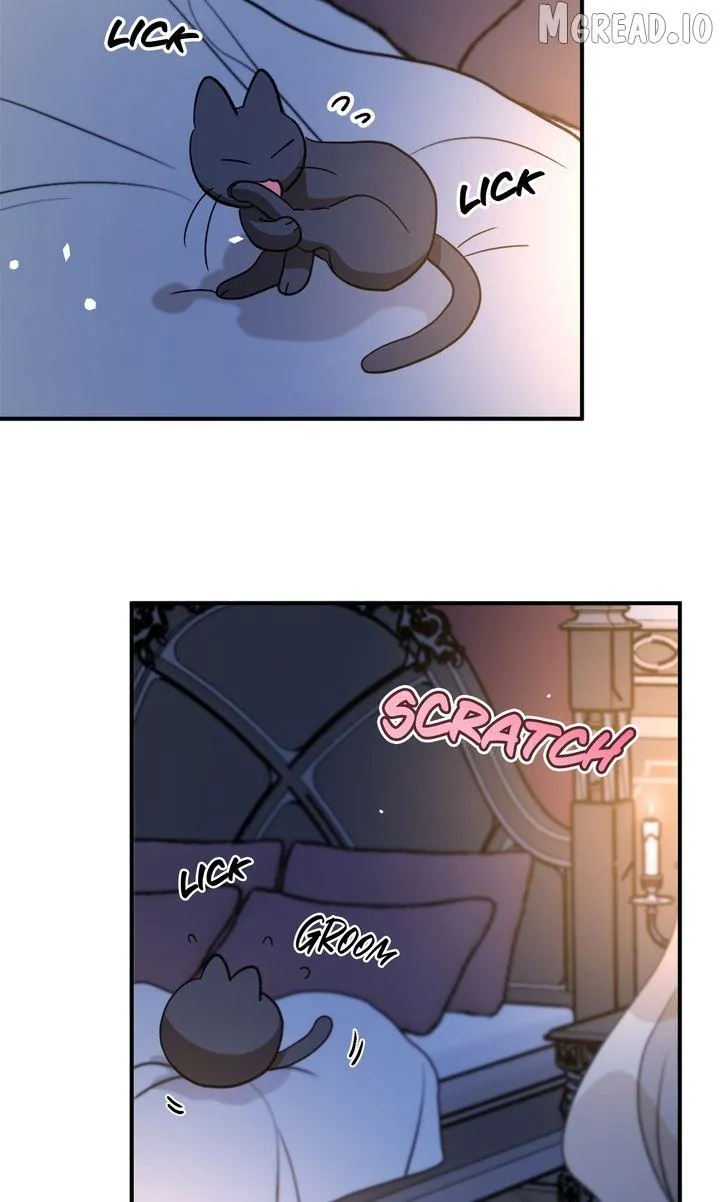Dragondaily chapter 87 page 64