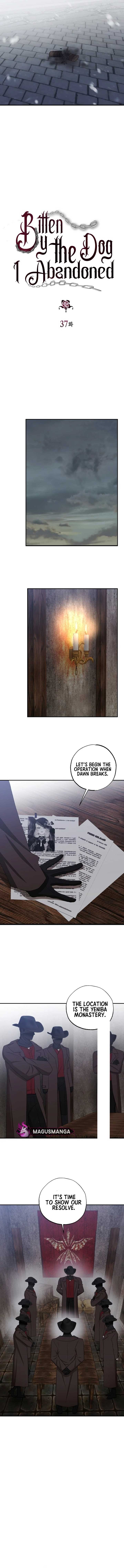 Bitten By The Dog I Abandoned chapter 37 page 2