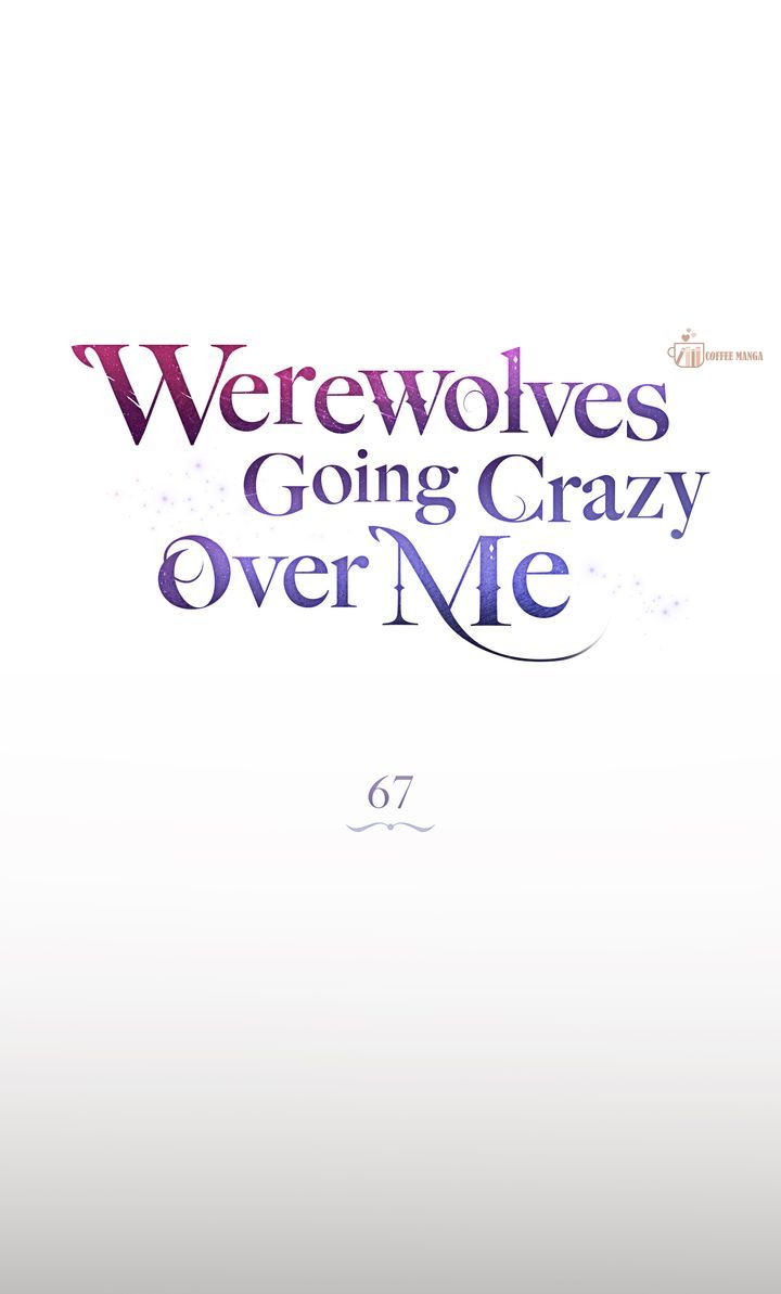 Werewolves Going Crazy over Me chapter 67 page 17
